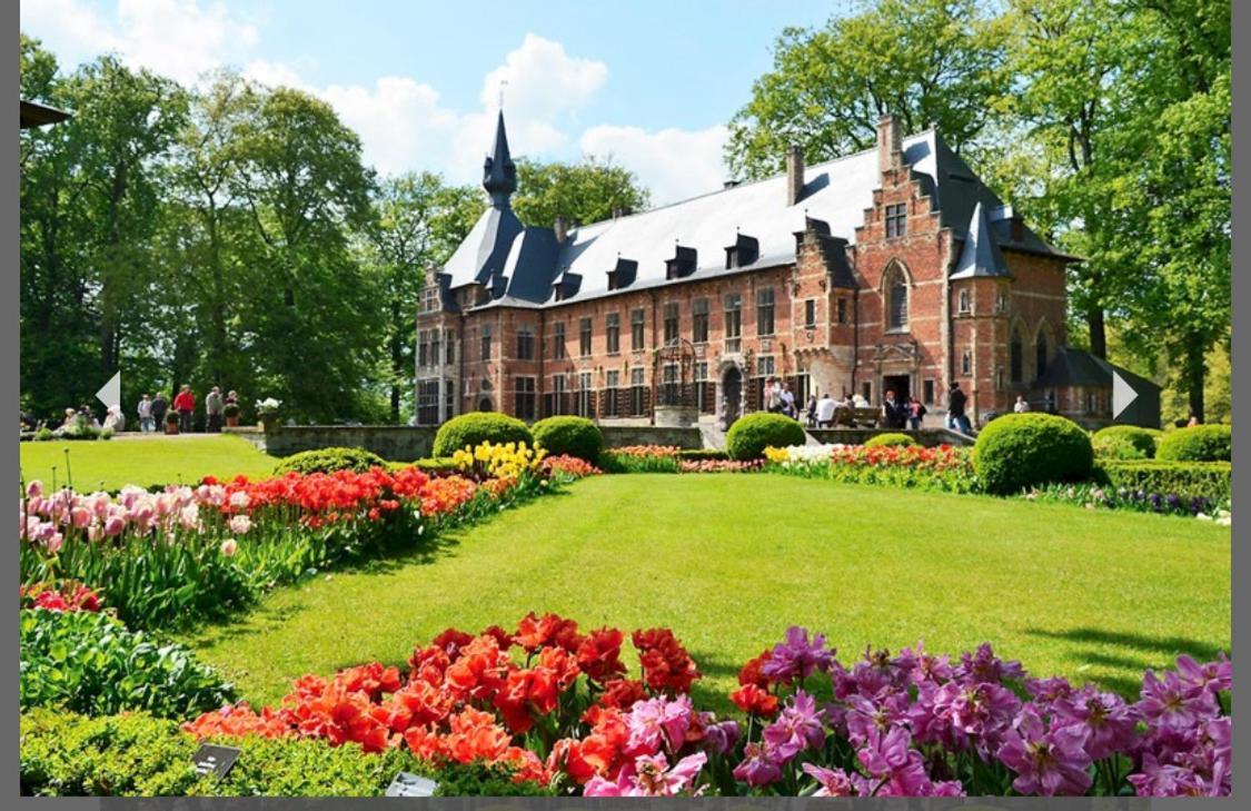 B&B Groot-Bijgaarden Center 딜비크 외부 사진